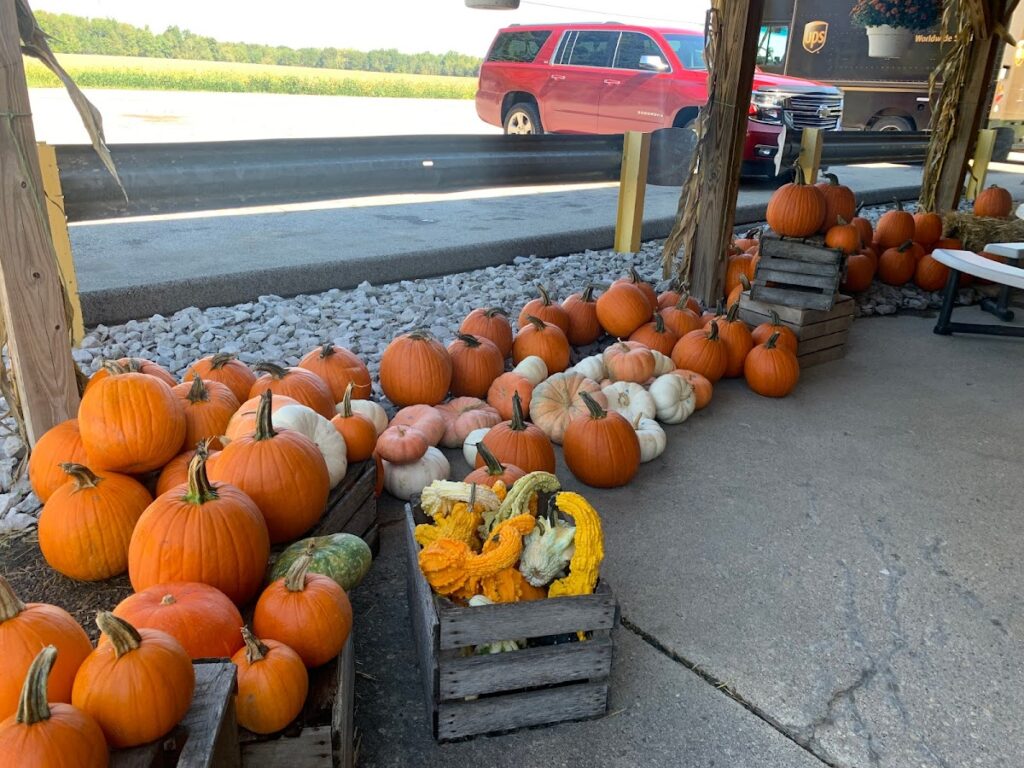 AJ’s General Store photo 5