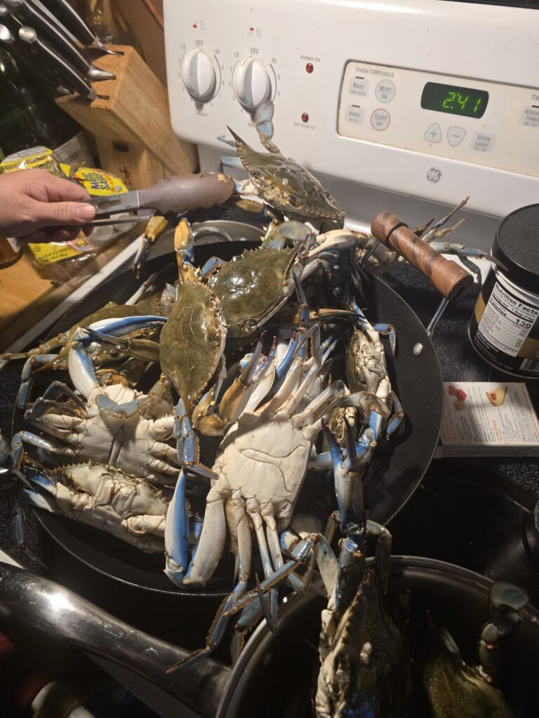 C & D Seafood photo 4