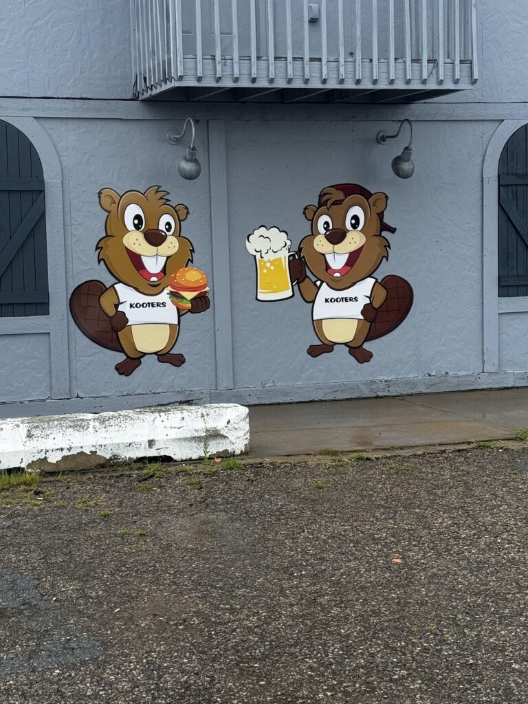 Kooters in the Field photo 5