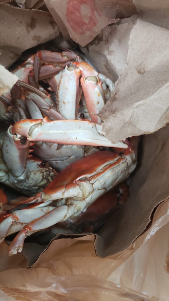 Louisiana Pride Seafood photo 5
