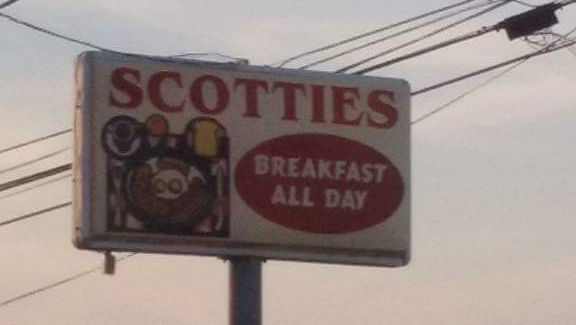 Scotties of Powell photo 4